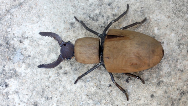 Insecte fait à partir d'un embauchoir de chaussure et d'une pince