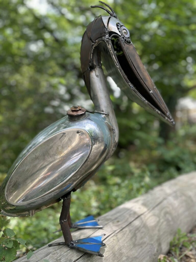 Pelicanos 25 - 60 cm - 