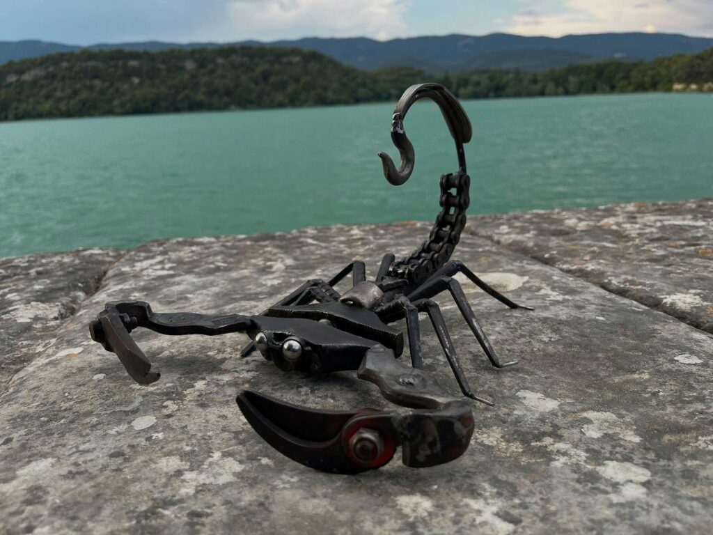 tenailles, lames de sécateur, chaine vélo, dents râteaux , récupérations