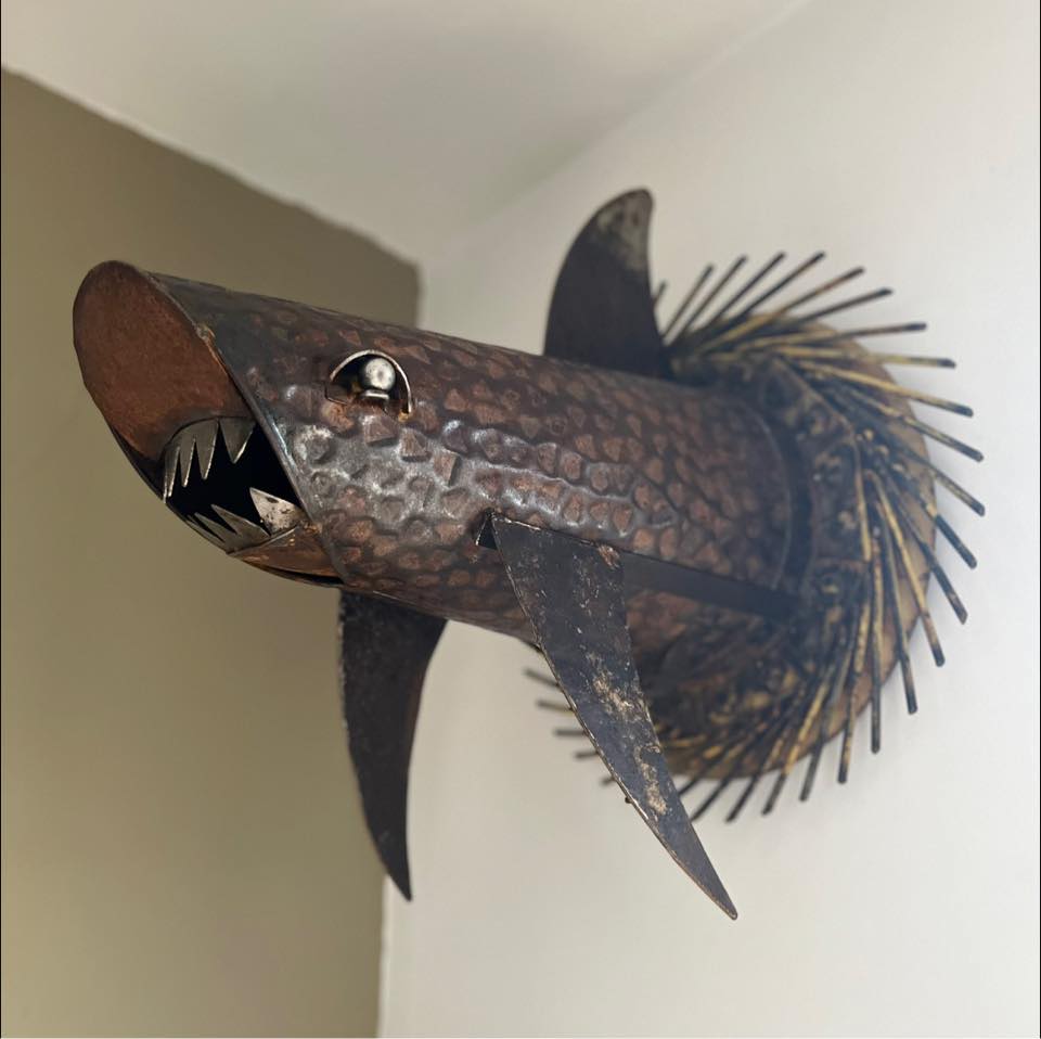 Requin Martelé - 850 € - 60 cm